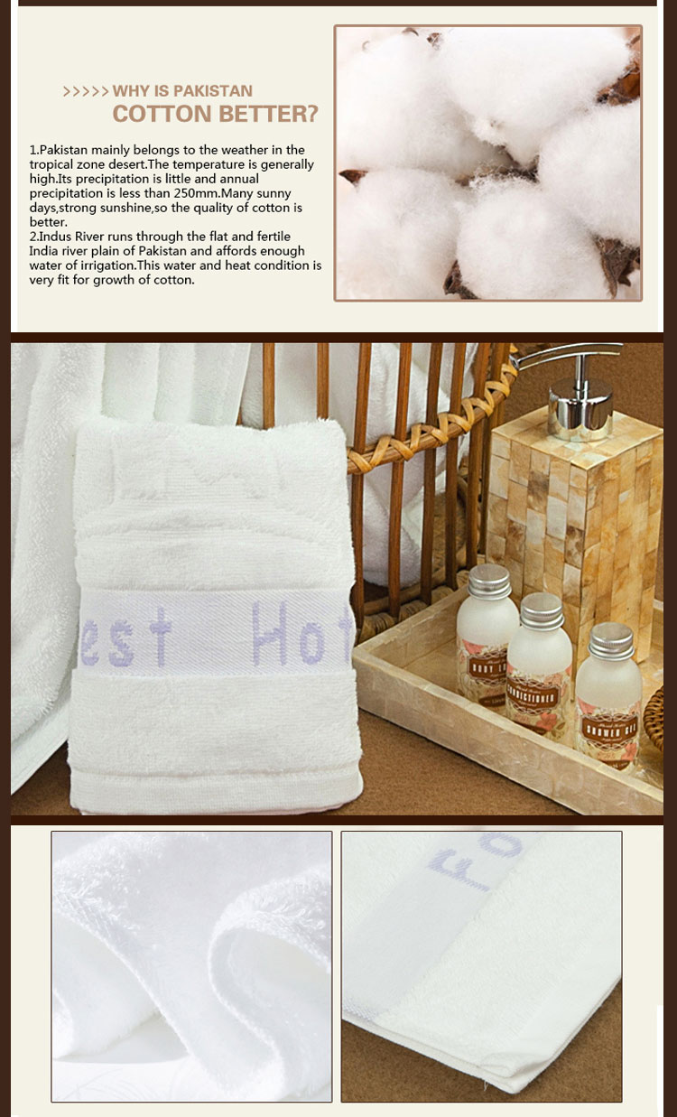 Absorption Luxury Towels Online