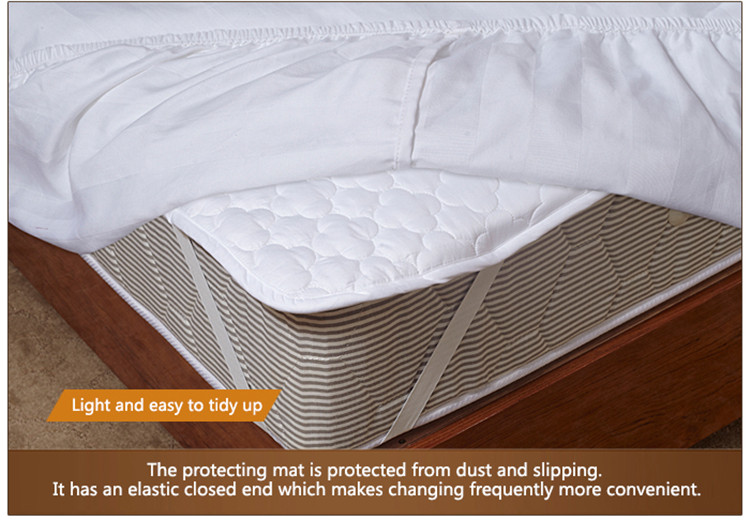 Sealy Cotton Washable Mattress Protector