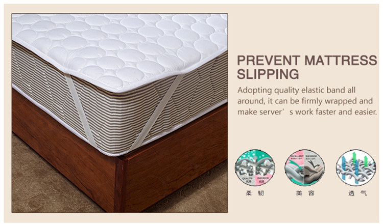 Twin Size Fitted Mattress Waterproof Allergy