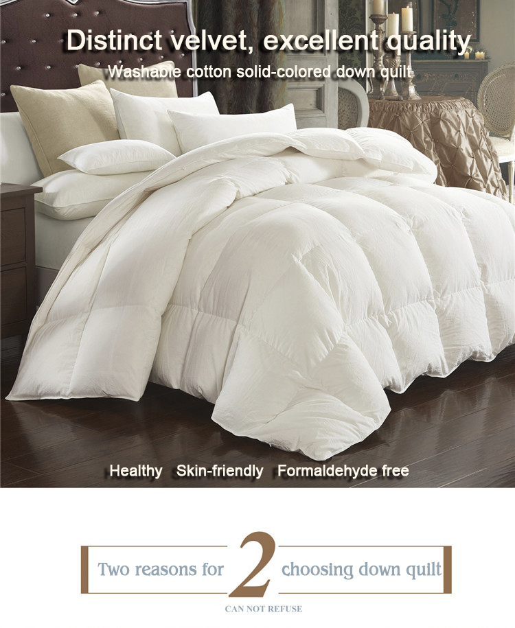 Collection Queen Duvet Cover Set