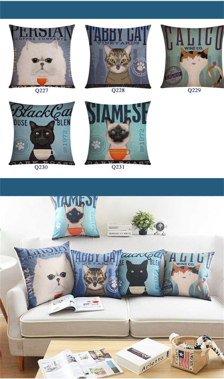 Pillow Cover Cushion