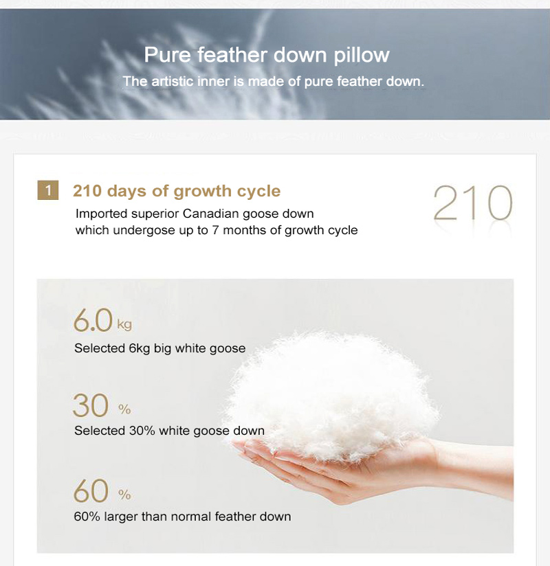 Custom Pure Feather Down Pillow Lengthened Size