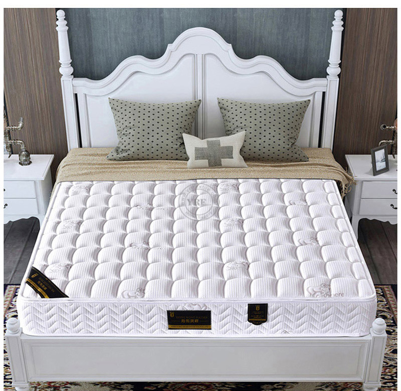 Detachable Washable Mattress Dual-Purpose