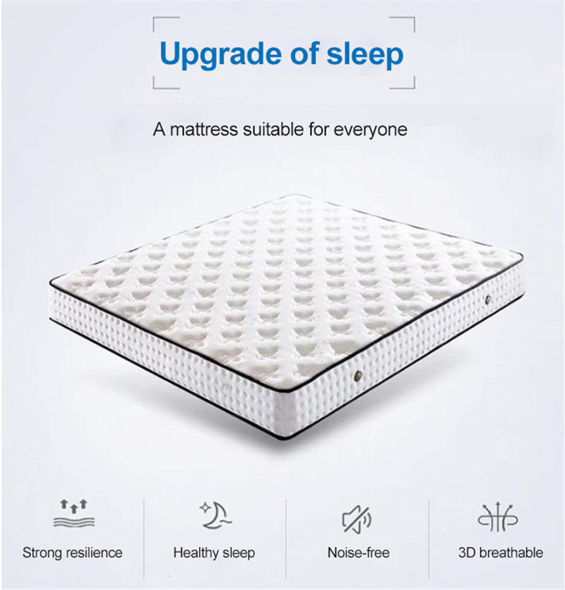 8 Inch Apartment Mattress