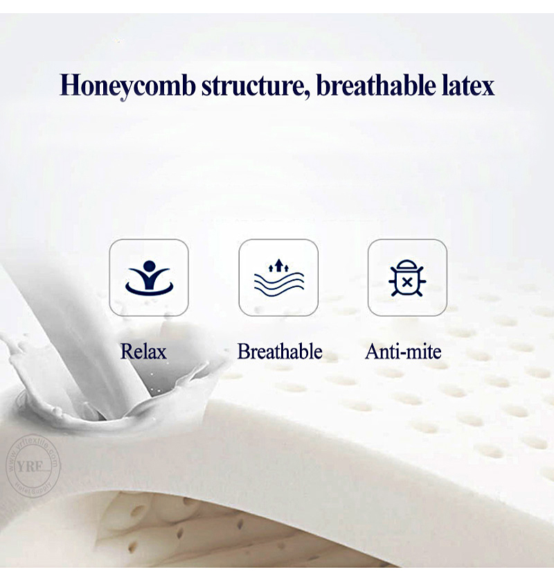 4 Inch Dorm Mattress palm