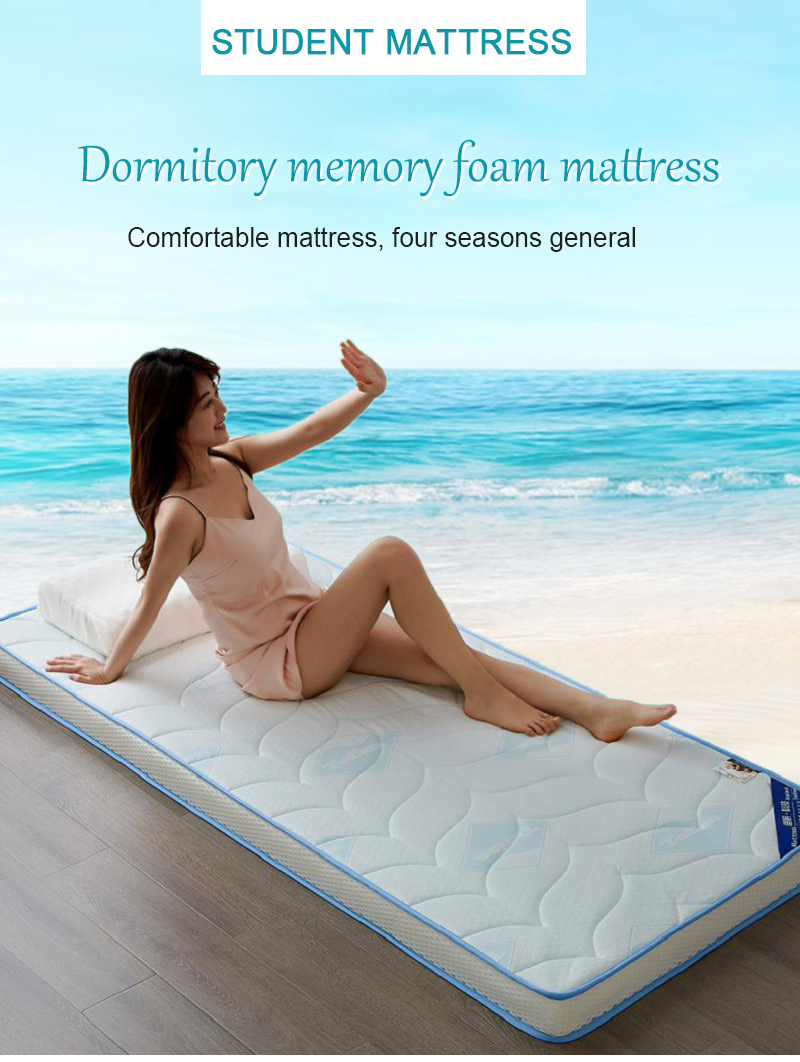 Dorm Thick 10cm Mattress Pad