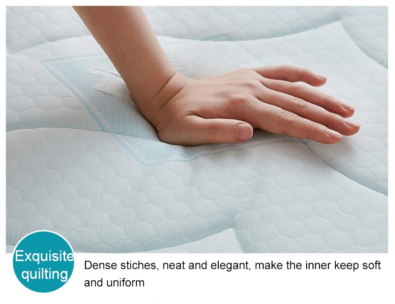 Mattress Pad Thick 10cm Multi-Purpose