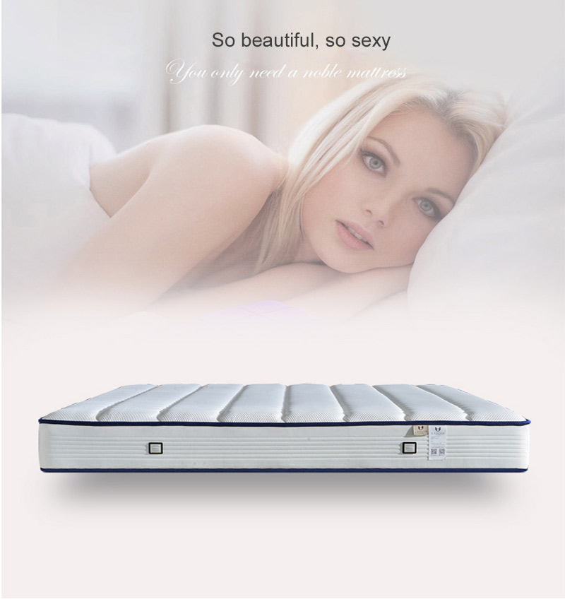 Luxury Mattress Queen protect Spine