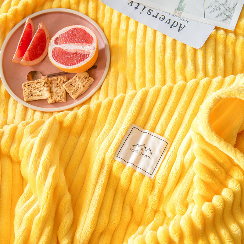Fleece Blankets 100% Polyester All Season