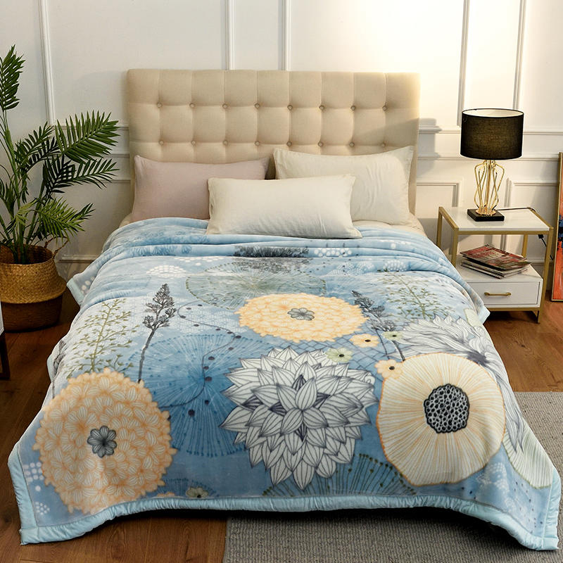 Modern Style Polyester Blanket Polar Microfiber