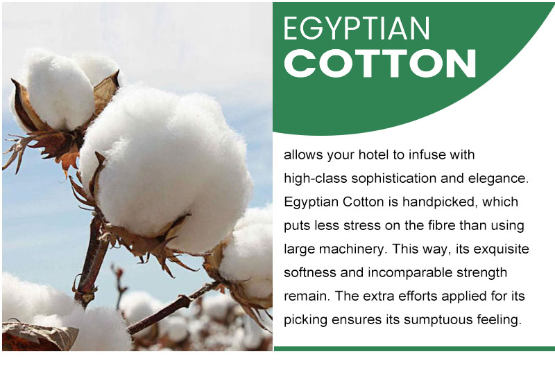 100 Cotton Hotel comforter set