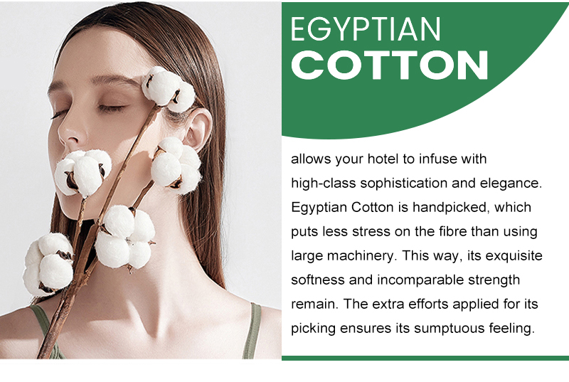 Egyptian Cotton satin duvet cover set Soft White