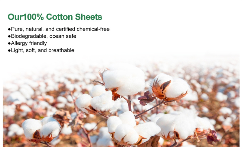 Egyptian Cotton Very Soft Hotel Style Sheets