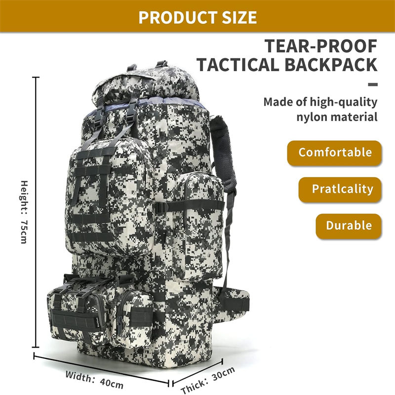 Inexpensive Multi Layer Backpack 