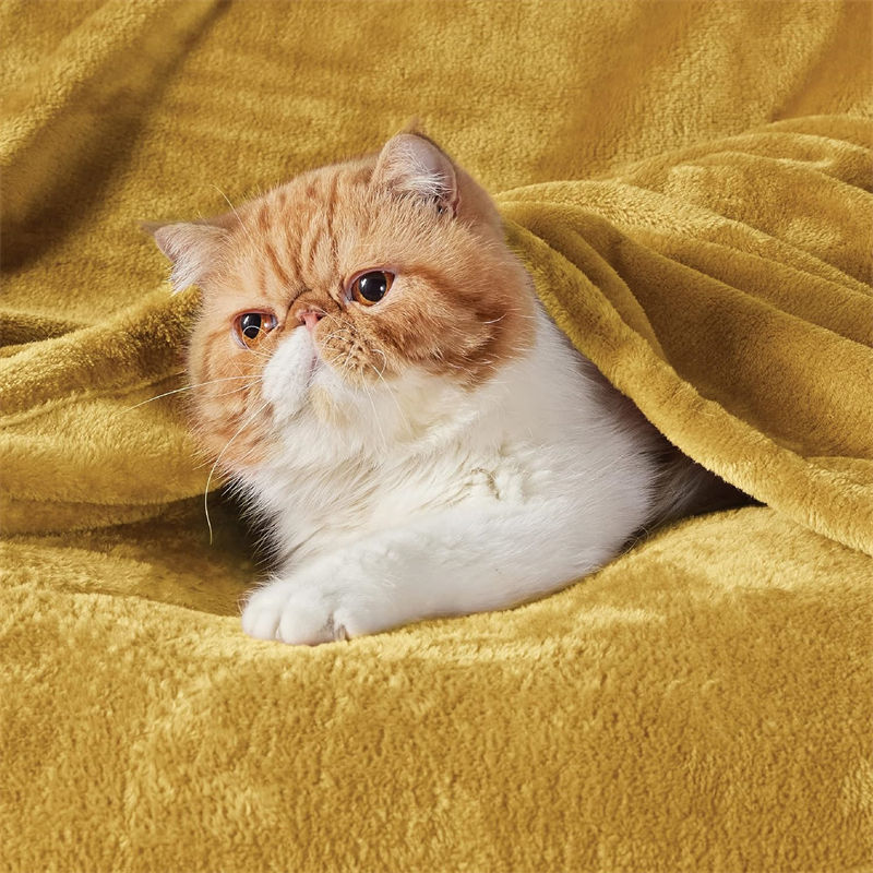 Military Donation Customizable Gold 55×78 - inch Blanket