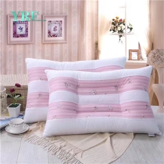 Durable 100% Cotton Fancy Pillows