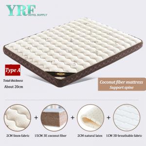 8 Inch palm Homestay Mattress