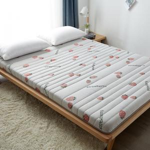 University Dorm Thick 6cm Sleeping Pad