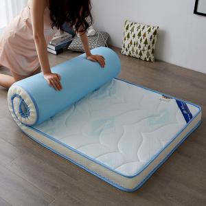 Dorm Thick 10cm Mattress Pad