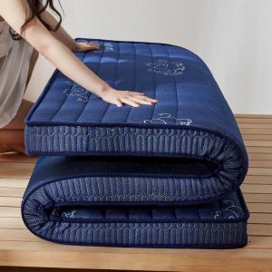 Motel Roll Foldable Mattress Pad