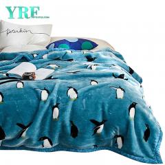 Cozy 2 Ply Throws Blanket