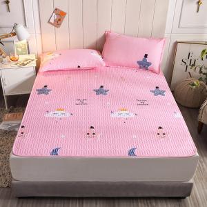 Bed Mattress Cover Waterproof Delicate