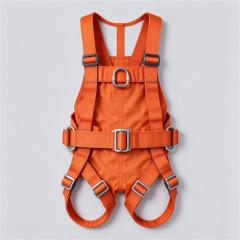 Double lock safety harness buckle